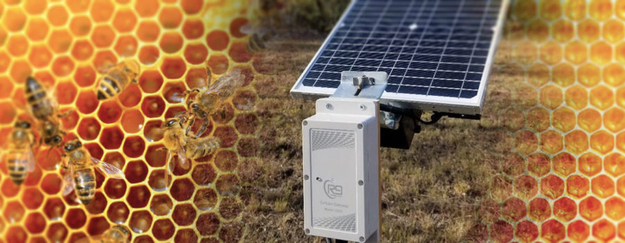 <strong>R9 Hive Management Tool – Using Temperature as an Indicator for Honey bee Hive Health</strong>
